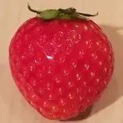 ぷにの画像