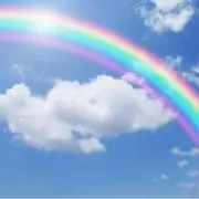 ぷりんの画像