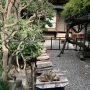 ゆきみの画像