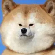 nの画像