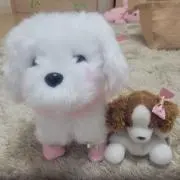 これちままの画像