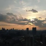 B点検の画像