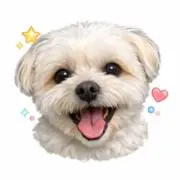 cheekoの画像
