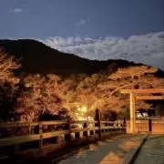 だいの画像