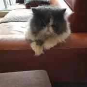 たろう