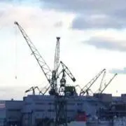 まっこう