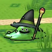 maicca