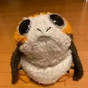 porgkunの画像