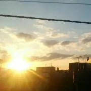 はる