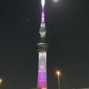タカポットの画像