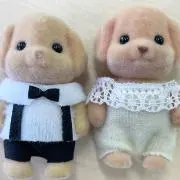a.の画像