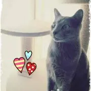 かななこ