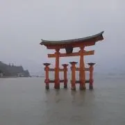 なっちゃんの画像