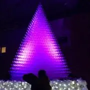 ゆいの画像