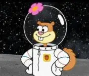 にゃん太郎の画像