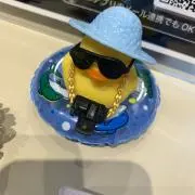 Rii