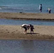 ラグビーの画像