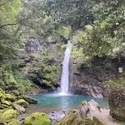Mattariの画像