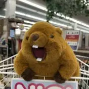 さーくの画像