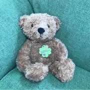 テディ