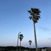 aの画像