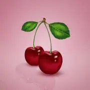 チェの画像