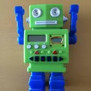 エリマキトゲ