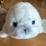 らいの画像