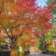 emoの画像