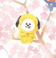ゆきるの画像