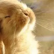色々断捨離中♪
