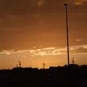 Teeの画像