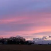 れがろ