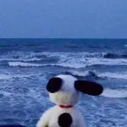 らいすの画像