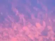 りんご