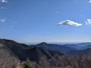 サニーの画像