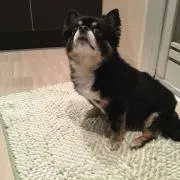 りん‼︎