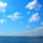 まいまい
