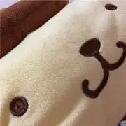 pinの画像