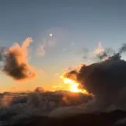 kotomの画像