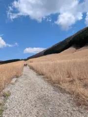 T(=^・^=)Tの画像