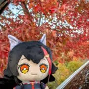 ミオ