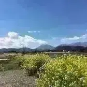 yukiの画像