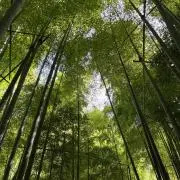 G.R.の画像