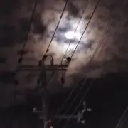 ニコニコ