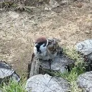 のあの画像