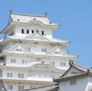 ヤマテラの画像