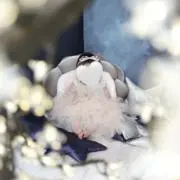 Tktaka