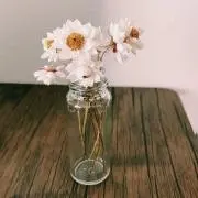 numaの画像