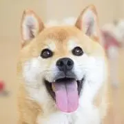 めきの画像